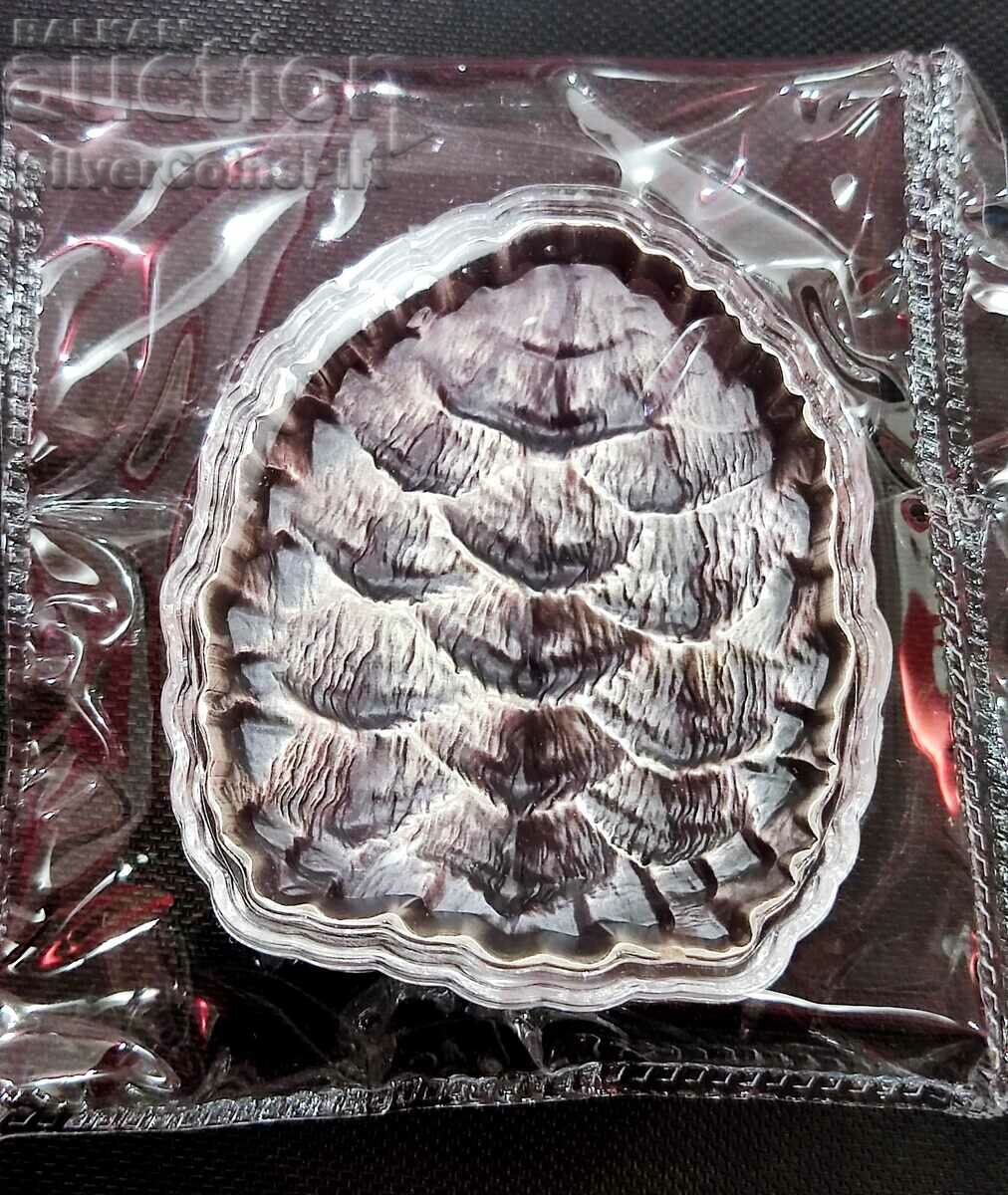 Silver 2 oz Tortoise Coruba 2023 - 5 Silver 2 oz Tortoise Coruba 2023 - 5