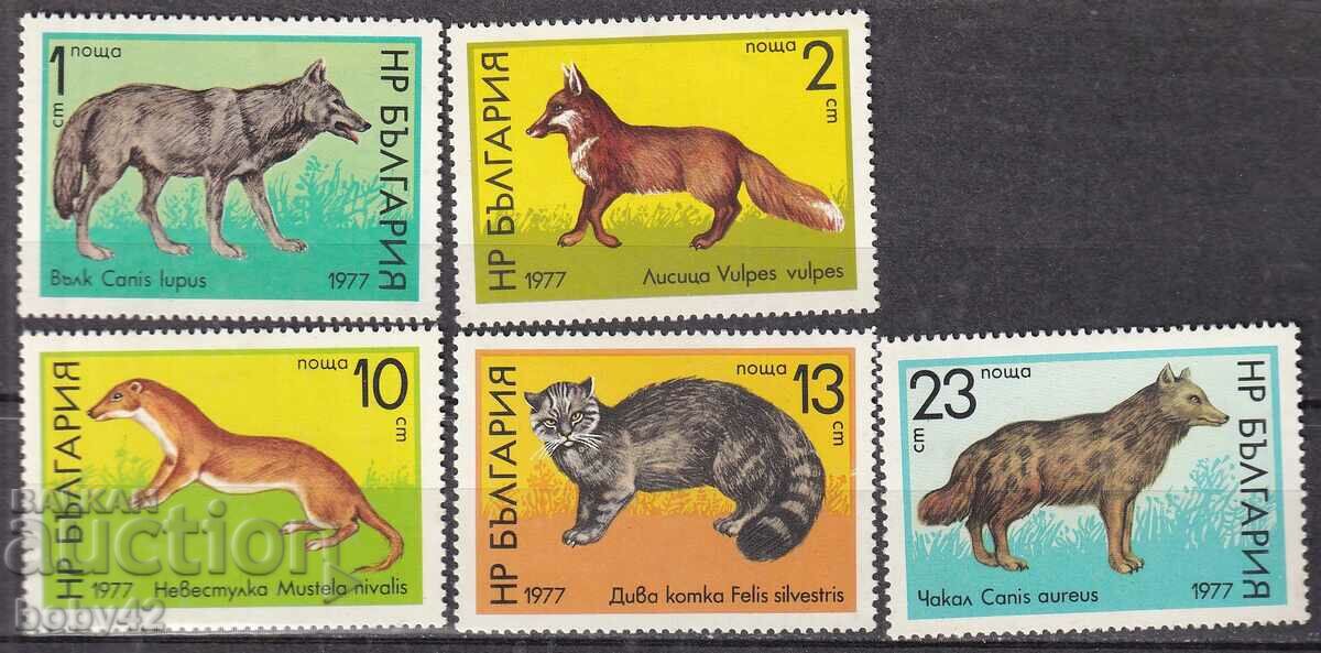 BK 2659-2663 Mammals of prey