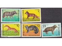 BK 2659-2663 Mammals of prey