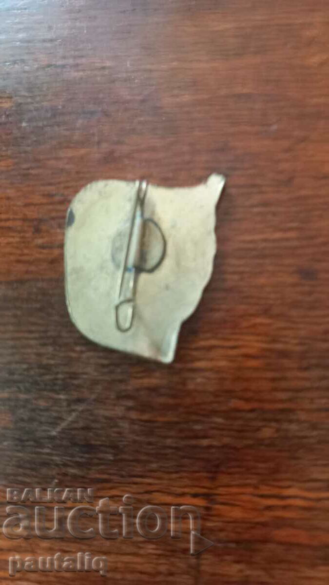 Auction OLD RARE TOURIST BADGE Auction OLD RARE TOURIST BADGE