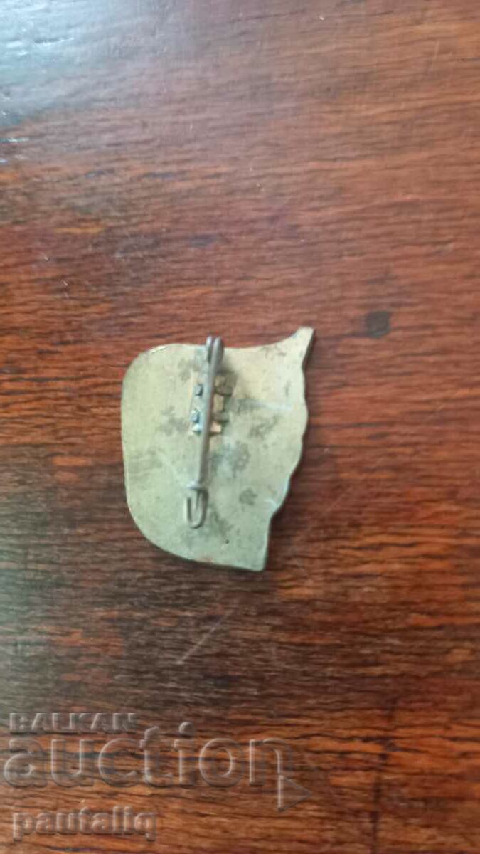 Auction OLD BRONZE ENAMEL RARE TOURIST BADGE Auction OLD BRONZE ENAMEL RARE TOURIST BADGE