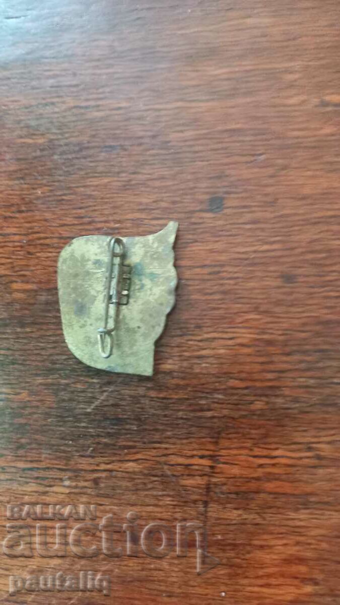 Auction  OLD BRONZE ENAMEL RARE TOURIST BADGE