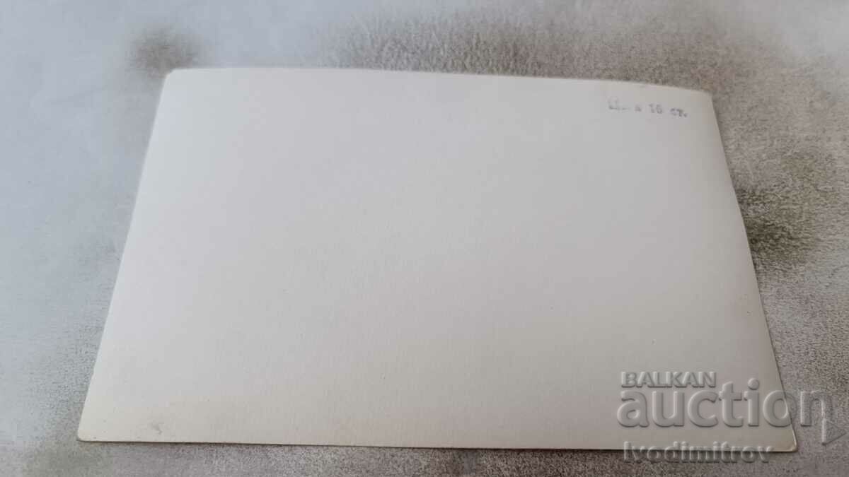 Postcard Sofia Loren with price 1.65 BGN | € 0.84 Postcard Sofia Loren with price 1.65 BGN | € 0.84