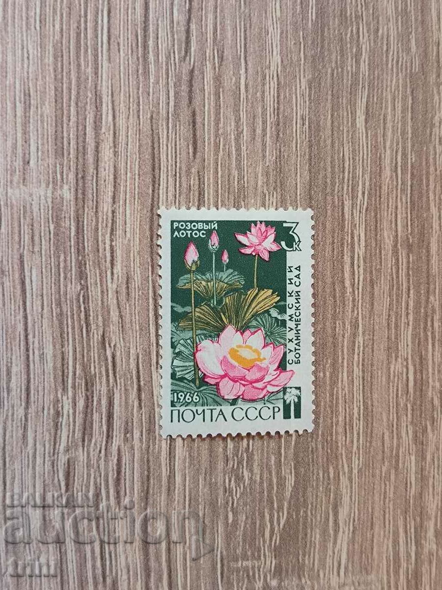 СССР флора цветя 1966 г.
