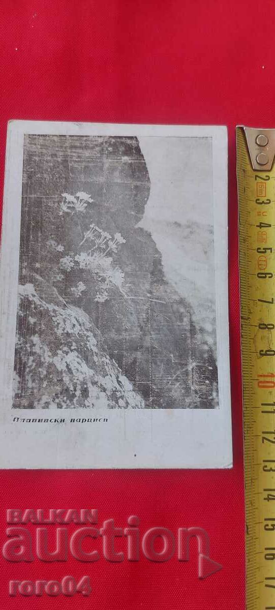 NIKOLA IVANOV BOZHINOV with price 18.00 BGN | € 9.20 NIKOLA IVANOV BOZHINOV with price 18.00 BGN | € 9.20