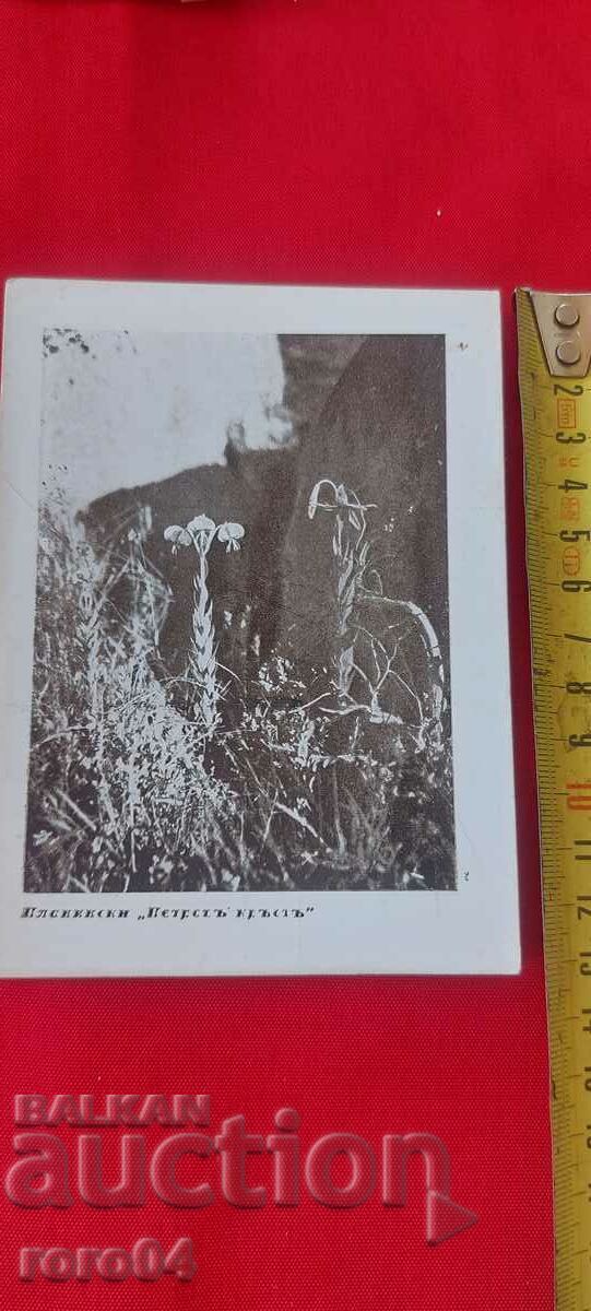ΝΙΚΟΛΑ ΙΒΑΝΟΦ ΜΠΟΖΙΝΟΦ με τιμή € 9.99 | 19.54 BGN