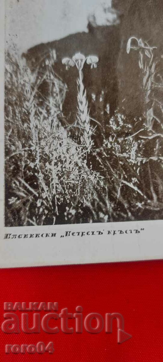 Auction NIKOLA IVANOV BOZHINOV Auction NIKOLA IVANOV BOZHINOV