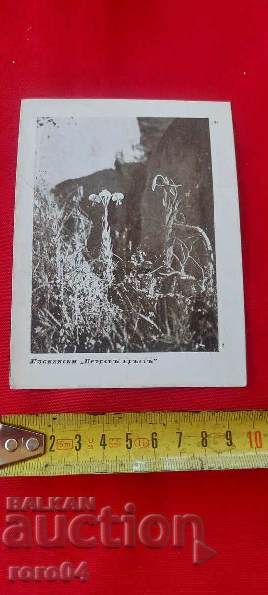 NIKOLA IVANOV BOZHINOV - 6 NIKOLA IVANOV BOZHINOV - 6