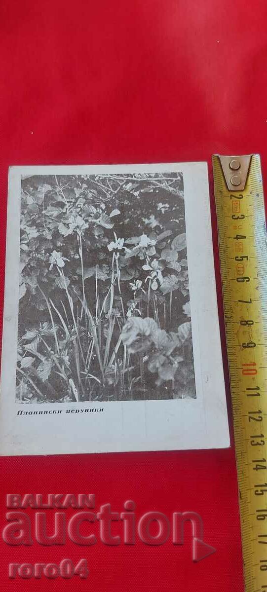 NIKOLA IVANOV BOZHINOV with price 18.00 BGN | € 9.20 NIKOLA IVANOV BOZHINOV with price 18.00 BGN | € 9.20