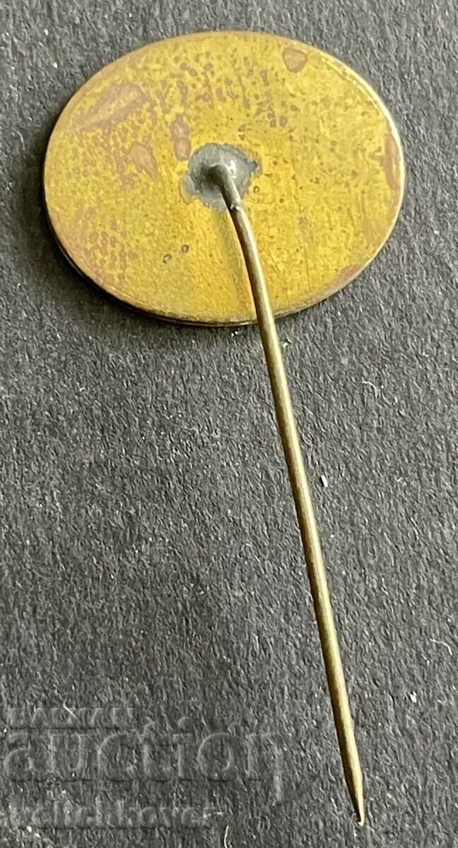 37619 Bulgaria sign coat of arms city of Devnya with price 4.00 BGN | € 2.05