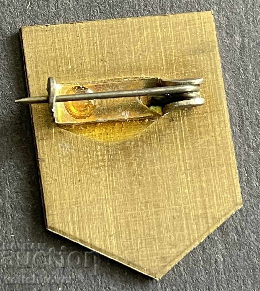 37620 Poland sign lovers people speaking Esperanto with price 3.00 BGN | € 1.53 37620 Poland sign lovers people speaking Esperanto with price 3.00 BGN | € 1.53