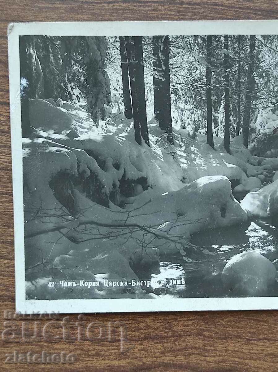 Postal card Kingdom of Bulgaria - Cham-Koria, Tsarska-Bist. Winter with price 20.00 BGN | € 10.23 Postal card Kingdom of Bulgaria - Cham-Koria, Tsarska-Bist. Winter with price 20.00 BGN | € 10.23