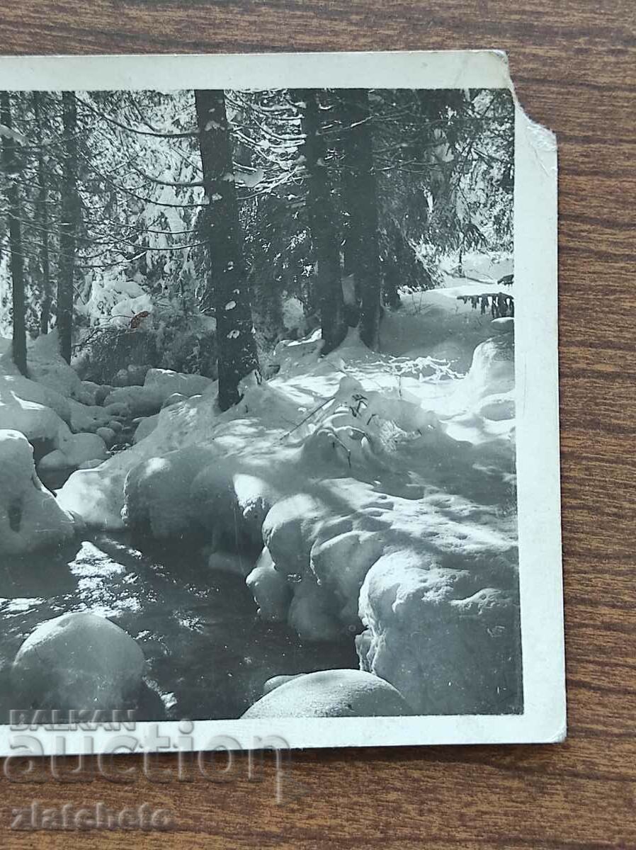 Auction Postal card Kingdom of Bulgaria - Cham-Koria, Tsarska-Bist. Winter Auction Postal card Kingdom of Bulgaria - Cham-Koria, Tsarska-Bist. Winter