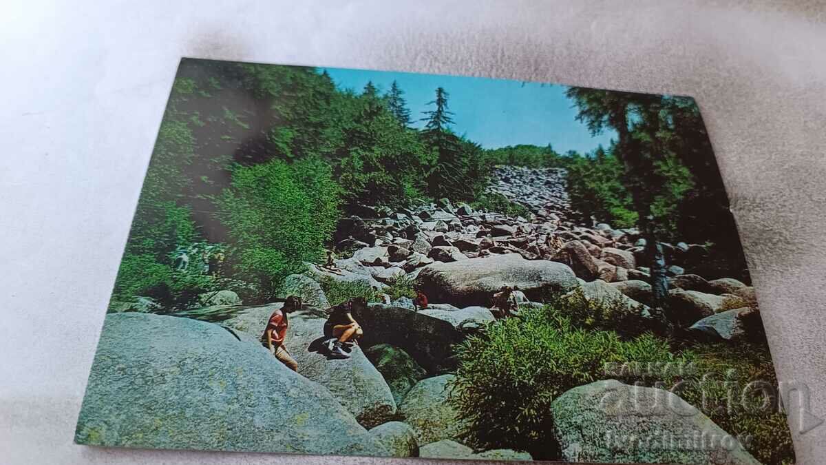 Καρτ ποστάλ Vitosha Locality Golden Bridges 1974