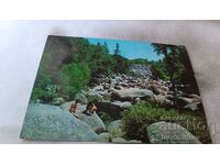 Καρτ ποστάλ Vitosha Locality Golden Bridges 1974