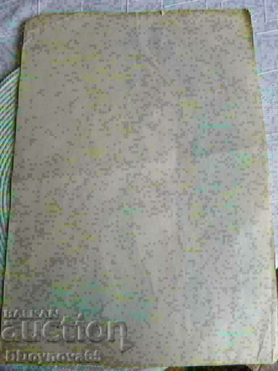 Delivery of Tenyu Pindarev Delivery of Tenyu Pindarev