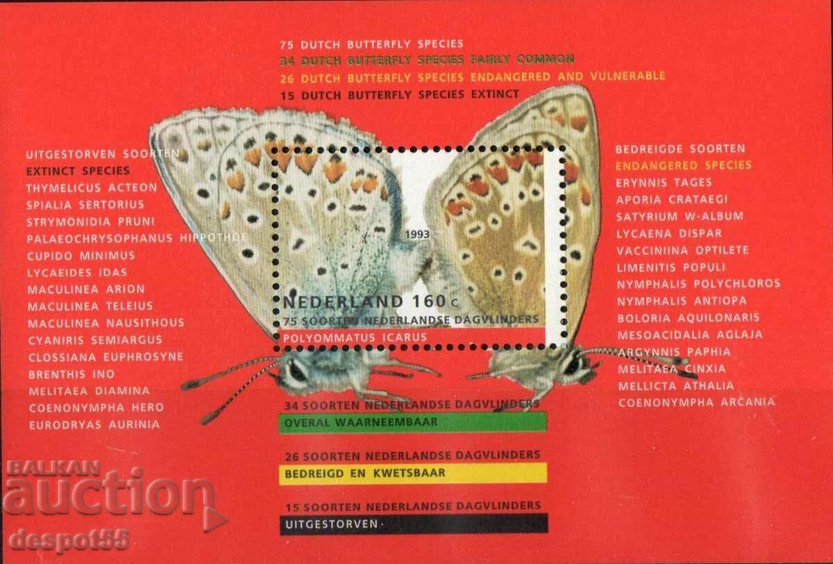 1993. Ολλανδία. πεταλούδες. ΟΙΚΟΔΟΜΙΚΟ ΤΕΤΡΑΓΩΝΟ.
