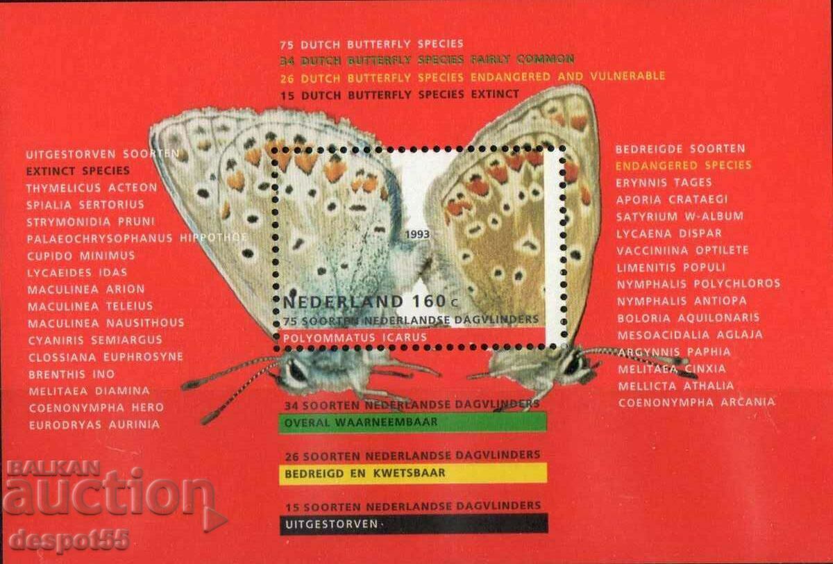 1993. Ολλανδία. πεταλούδες. ΟΙΚΟΔΟΜΙΚΟ ΤΕΤΡΑΓΩΝΟ.