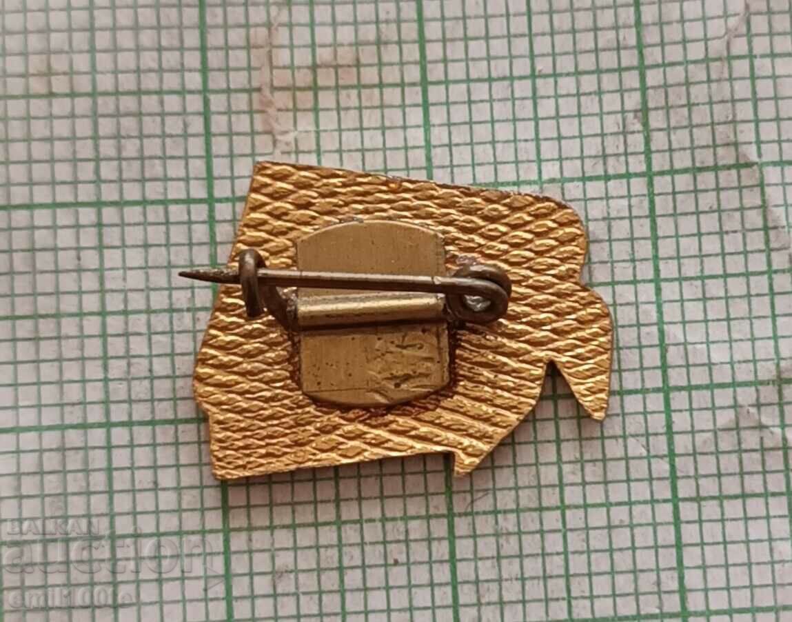 Delivery of Badge - Pioneer Connection Dove of Peace Delivery of Badge - Pioneer Connection Dove of Peace