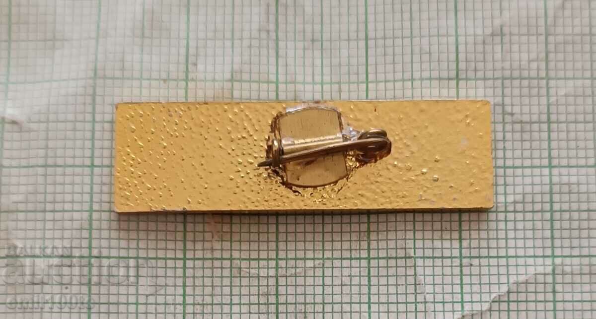 Delivery of Badge - DKMS National Komsomol Conference Delivery of Badge - DKMS National Komsomol Conference