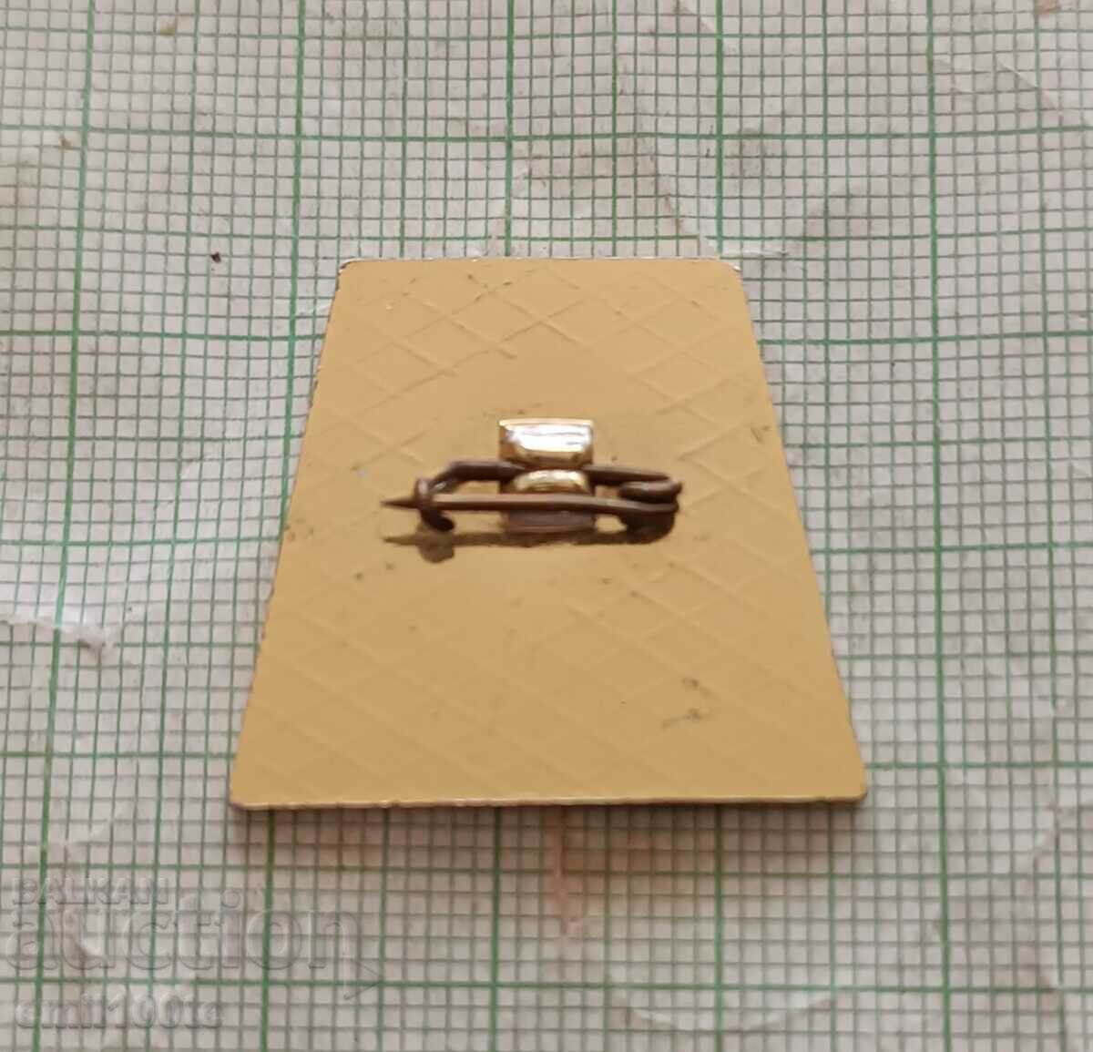 Delivery of Badge - VMGI Higher Mining - Geological Institute Delivery of Badge - VMGI Higher Mining - Geological Institute