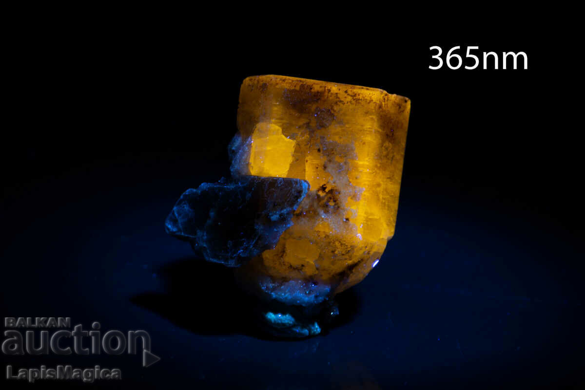 Auction Orange Apatite 8.7g from Pakistan Fluorescent Auction Orange Apatite 8.7g from Pakistan Fluorescent