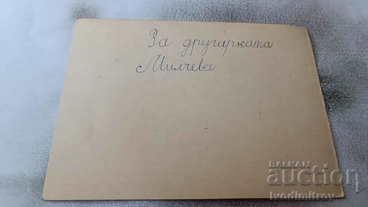 Licitație Felicitare Licitație Felicitare