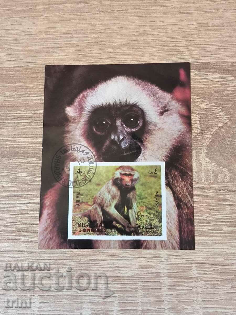 Sharjah Block Fauna Monkeys 1972