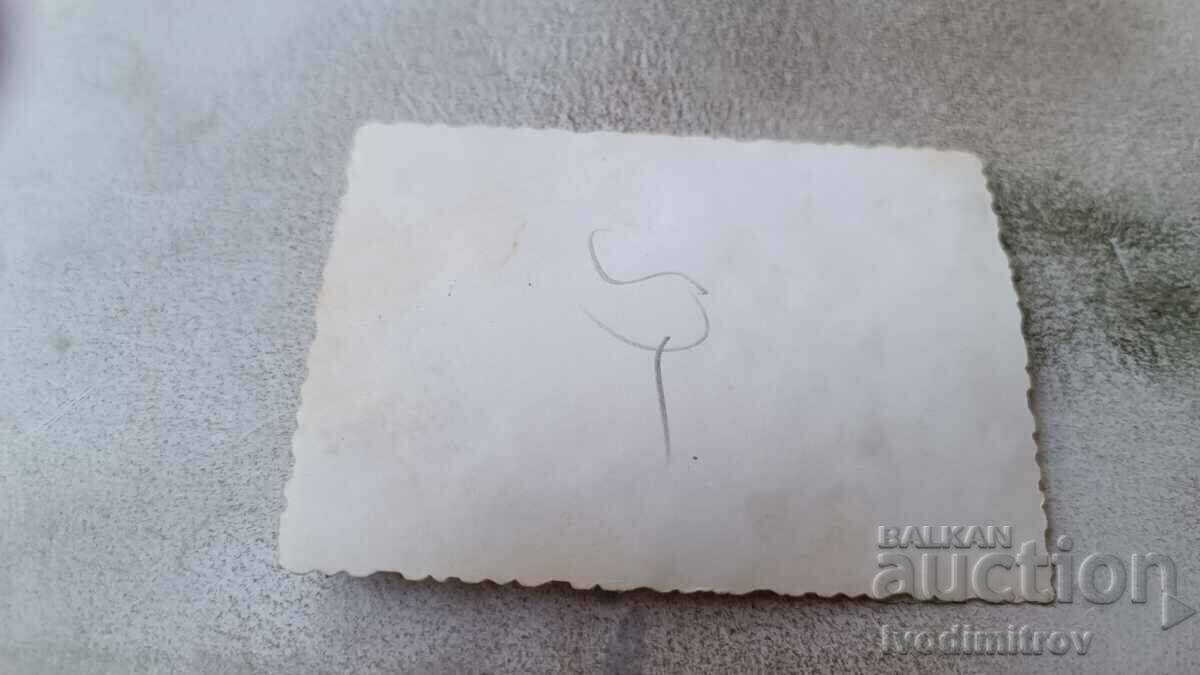 Photo Young men and women make a pyramid on the beach with price 1.35 BGN | € 0.69 Photo Young men and women make a pyramid on the beach with price 1.35 BGN | € 0.69