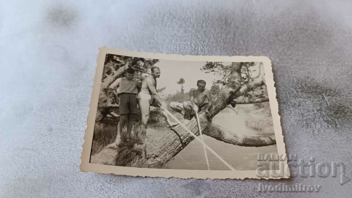Photo Two men in swimsuits and a boy on a tree above the river