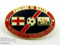 ENGLAND vs WALES-FOOTBALL QUALIFICATION-2004
