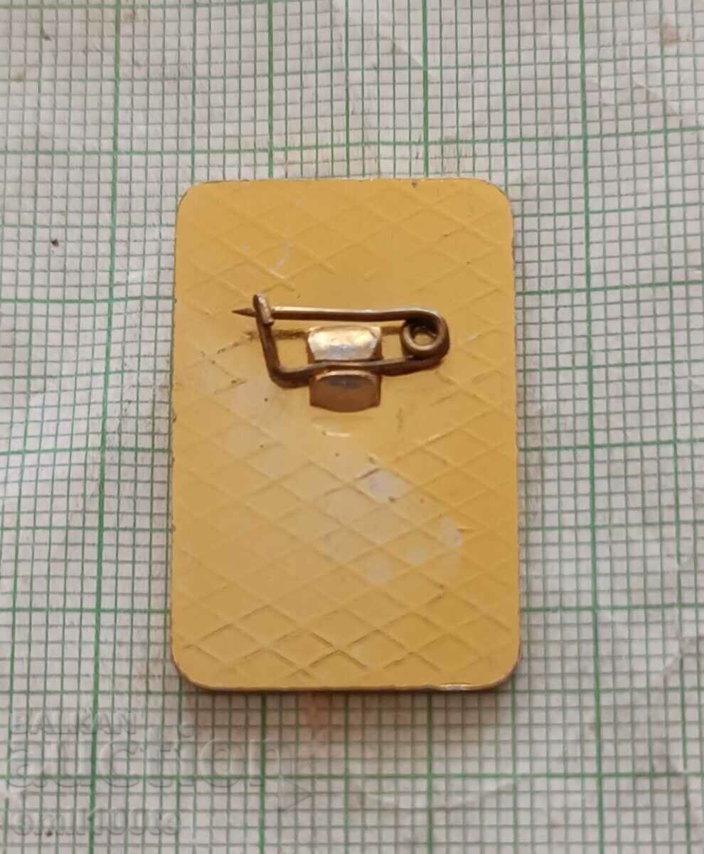 Delivery of Badge - Pioneer DPO Septemvriyche Delivery of Badge - Pioneer DPO Septemvriyche