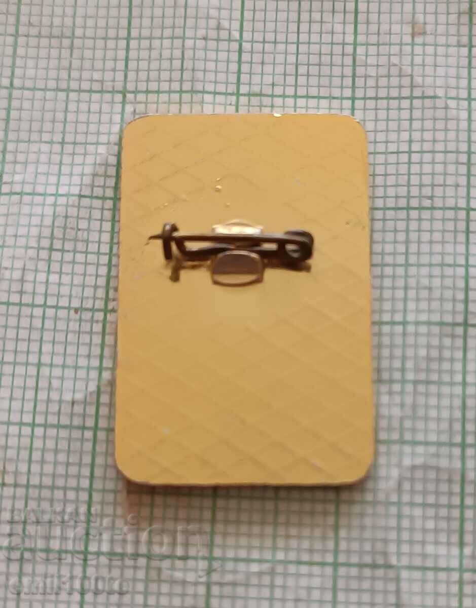 Delivery of Badge - Pioneer DPO Septemvriyche