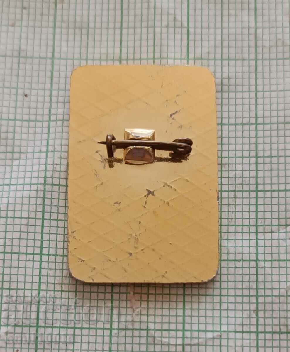 Delivery of Badge - Pioneer DPO Septemvriyche Delivery of Badge - Pioneer DPO Septemvriyche