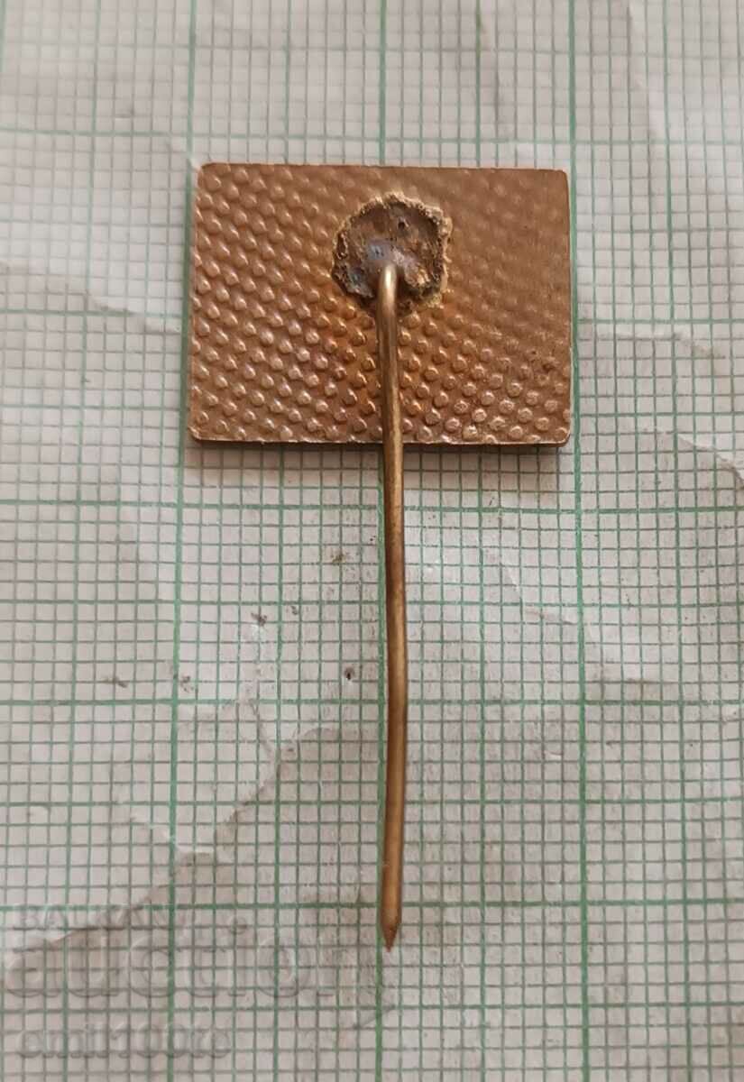 Delivery of Badge - Torpedo Ship Daring Delivery of Badge - Torpedo Ship Daring