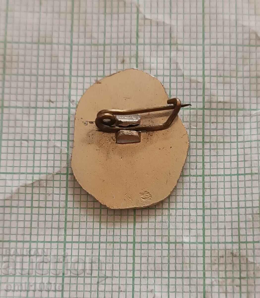 Delivery of Badge - Pleven Mausoleum