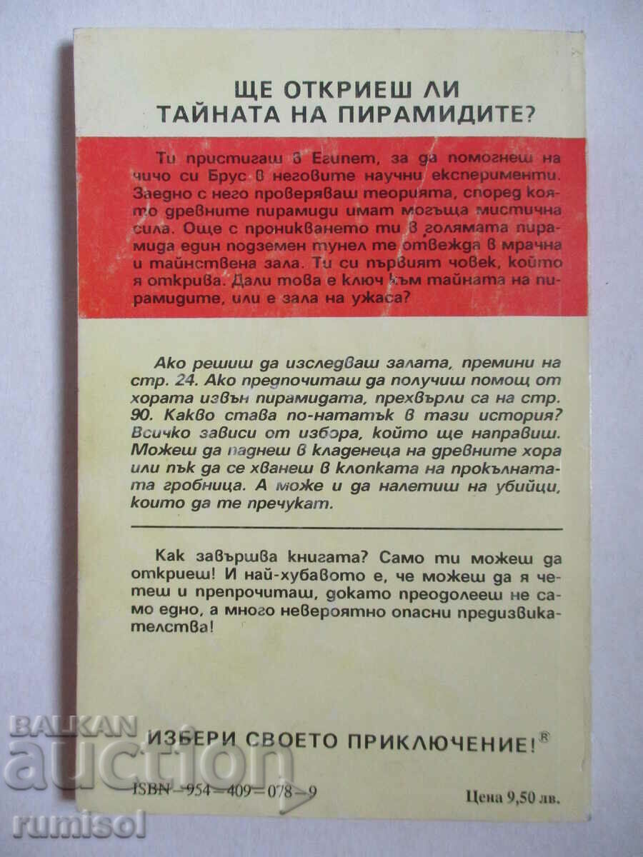 The Secret of the Pyramids - Richard Brightfield - 5 The Secret of the Pyramids - Richard Brightfield - 5