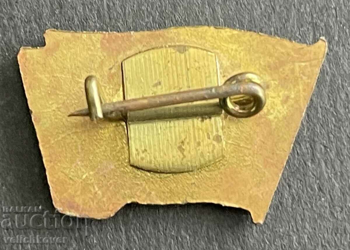 37653  България знак Отрядник доброволен сътрудник МВР с цена 3.00 лв. | € 1.53