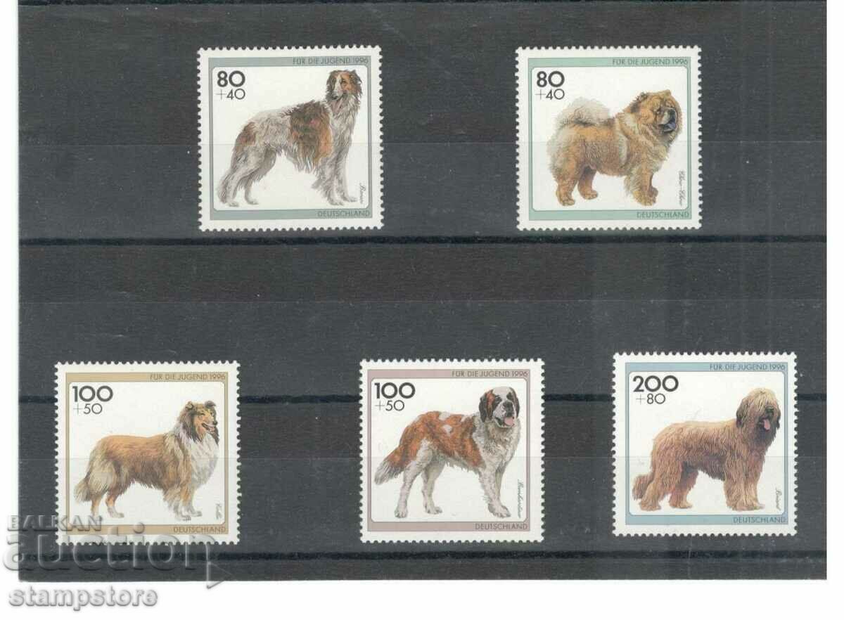 Σκύλοι - Γερμανία