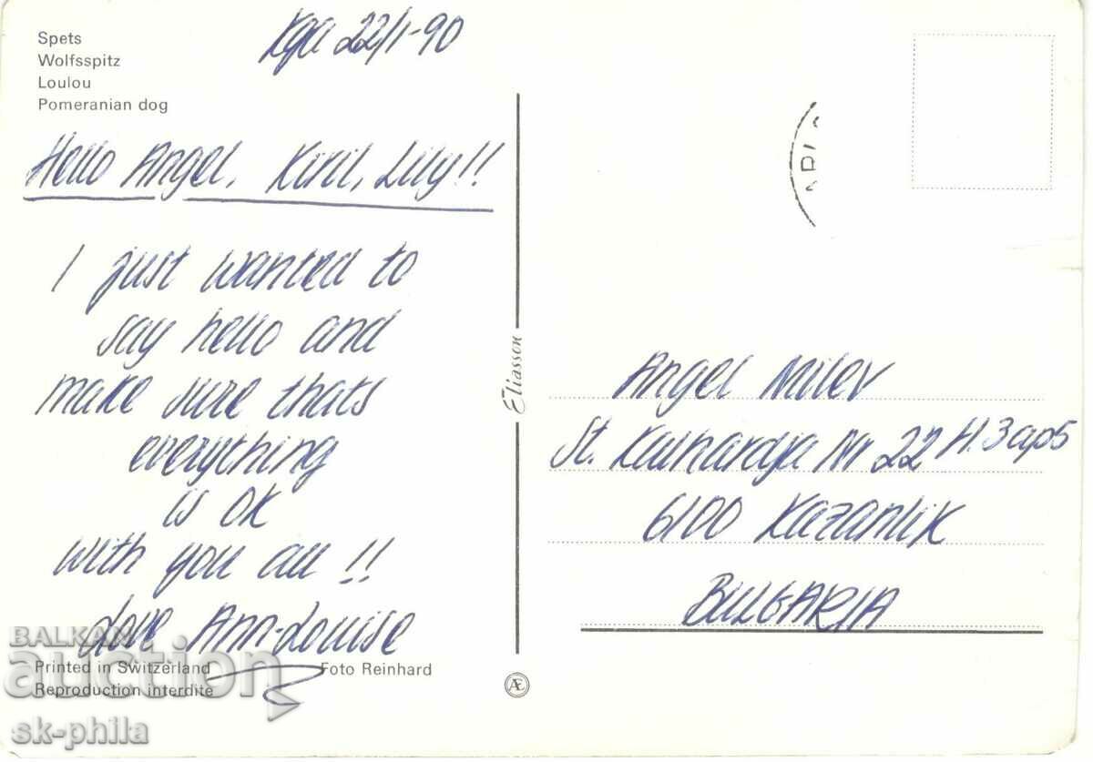 Old card - fauna - Spitz with price 1.00 BGN | € 0.51 Old card - fauna - Spitz with price 1.00 BGN | € 0.51