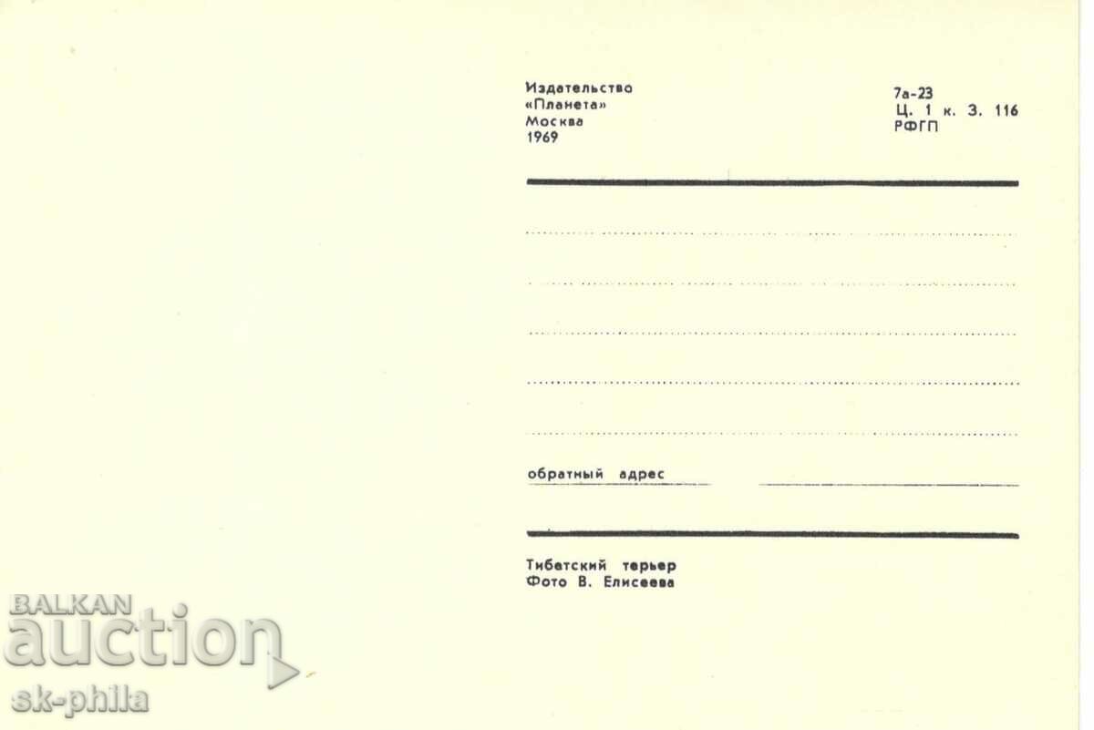 Old card - fauna - Tibetan terrier with price 1.50 BGN | € 0.77 Old card - fauna - Tibetan terrier with price 1.50 BGN | € 0.77