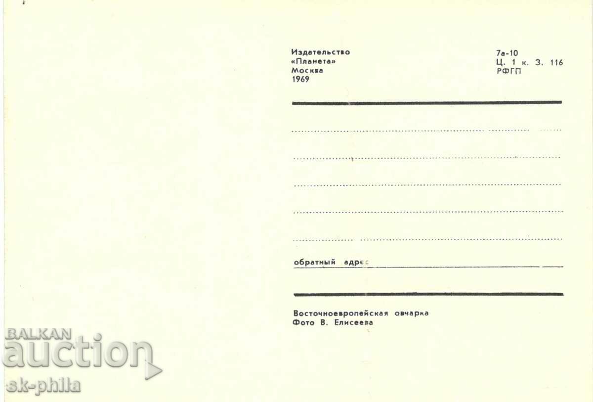 Παλιά κάρτα - πανίδα - ανατολικοευρωπαϊκός ποιμένας με τιμή 1.50 BGN | € 0.77 Παλιά κάρτα - πανίδα - ανατολικοευρωπαϊκός ποιμένας με τιμή 1.50 BGN | € 0.77