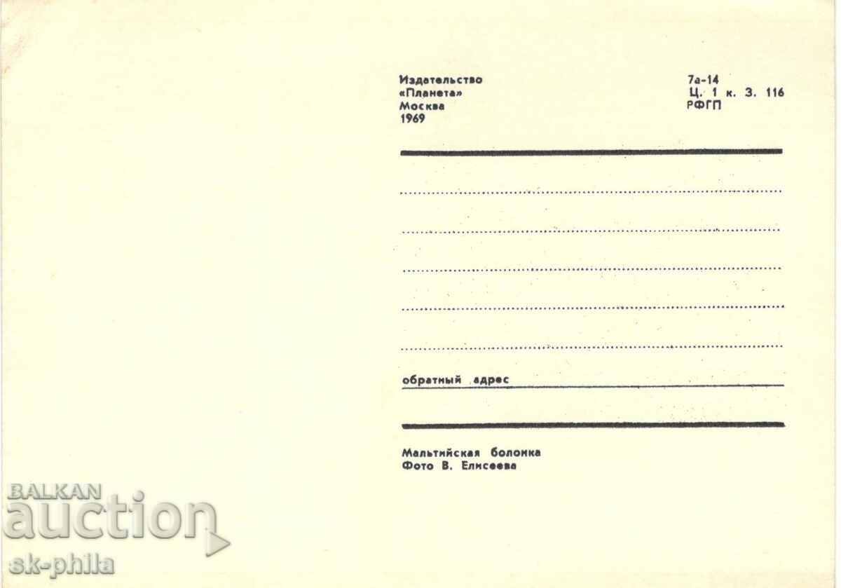 Old card - fauna - Bolonka with price 1.50 BGN | € 0.77 Old card - fauna - Bolonka with price 1.50 BGN | € 0.77