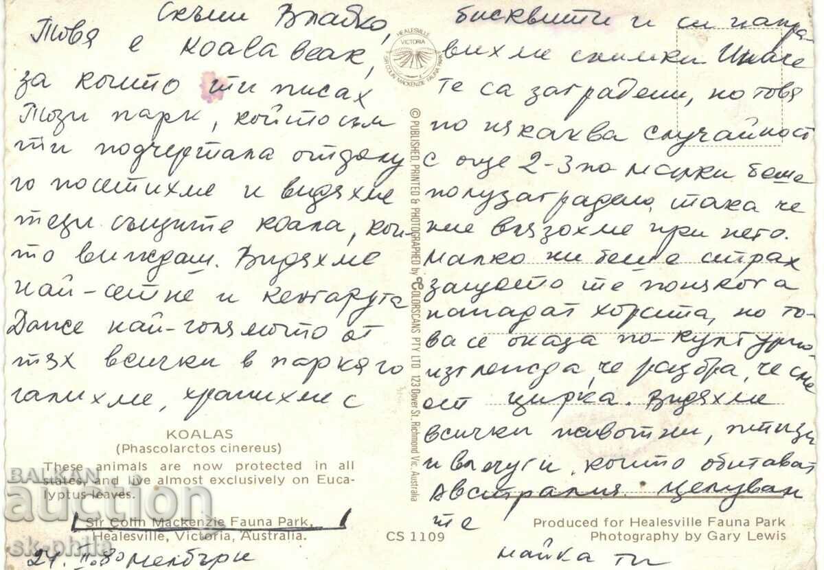 Old postcard - fauna - Koalas with price 1.20 BGN | € 0.61 Old postcard - fauna - Koalas with price 1.20 BGN | € 0.61