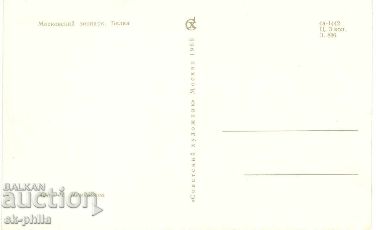 Old card - Fauna - Squirrel with price 1.20 BGN | € 0.61 Old card - Fauna - Squirrel with price 1.20 BGN | € 0.61