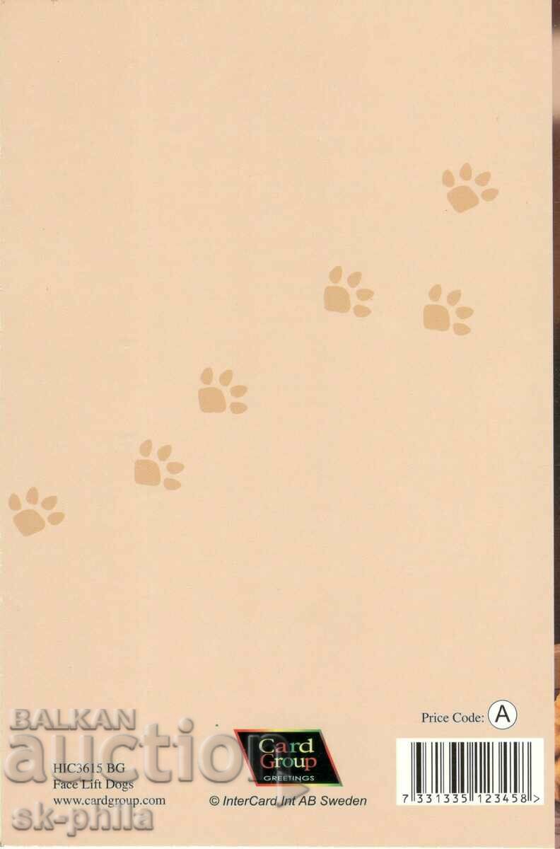 Auction Old postcard - Fauna - Basset Auction Old postcard - Fauna - Basset