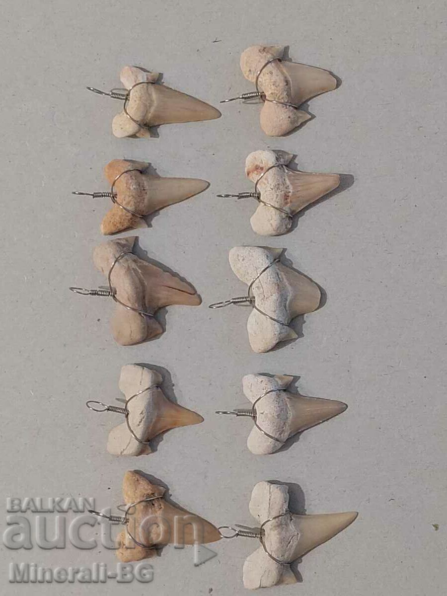 shark teeth