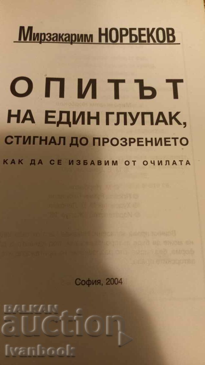 Auction  A fool's experience led to insight