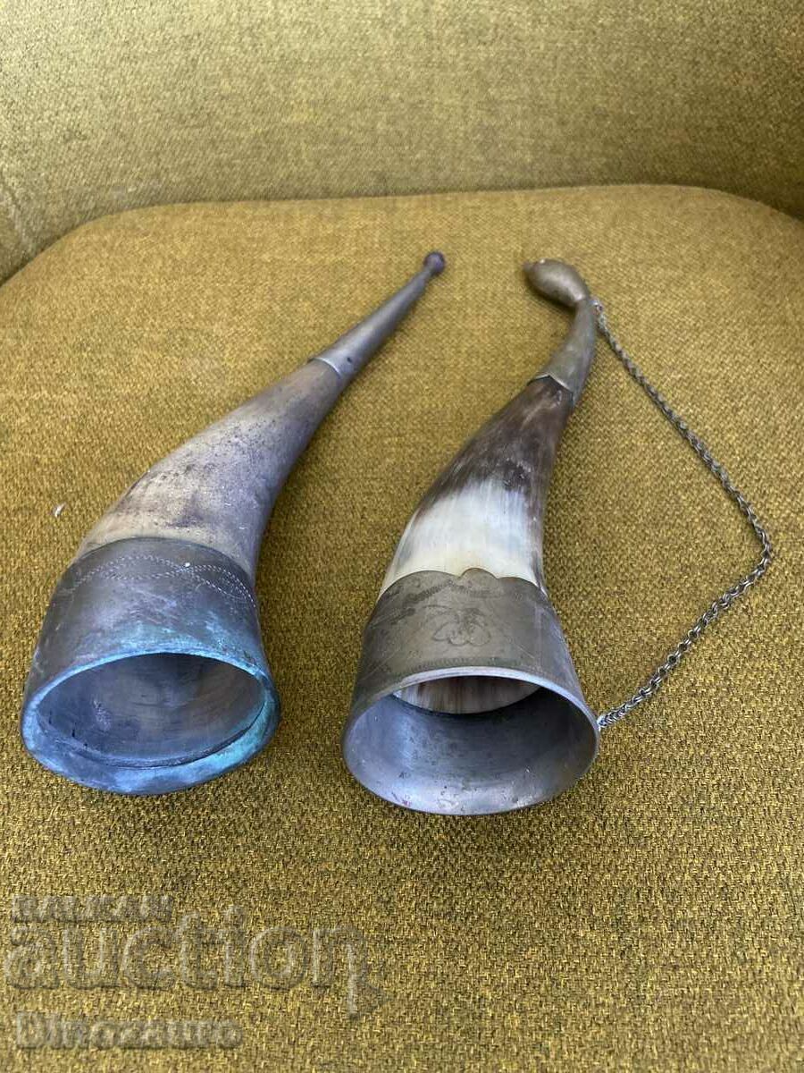 Two souvenir horns