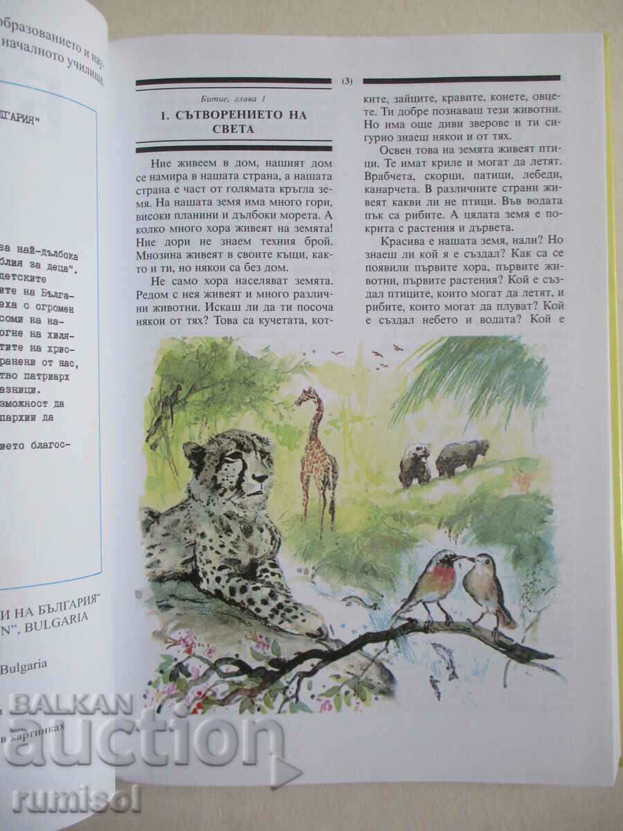 Auction Bible for children Auction Bible for children